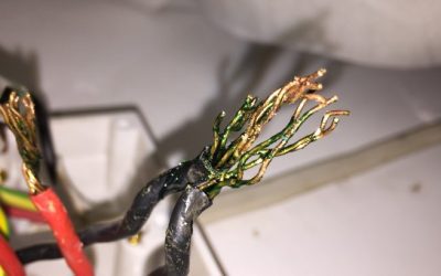 Curious Case of Green Goo: Unusual Substance Found in Electrical Installations